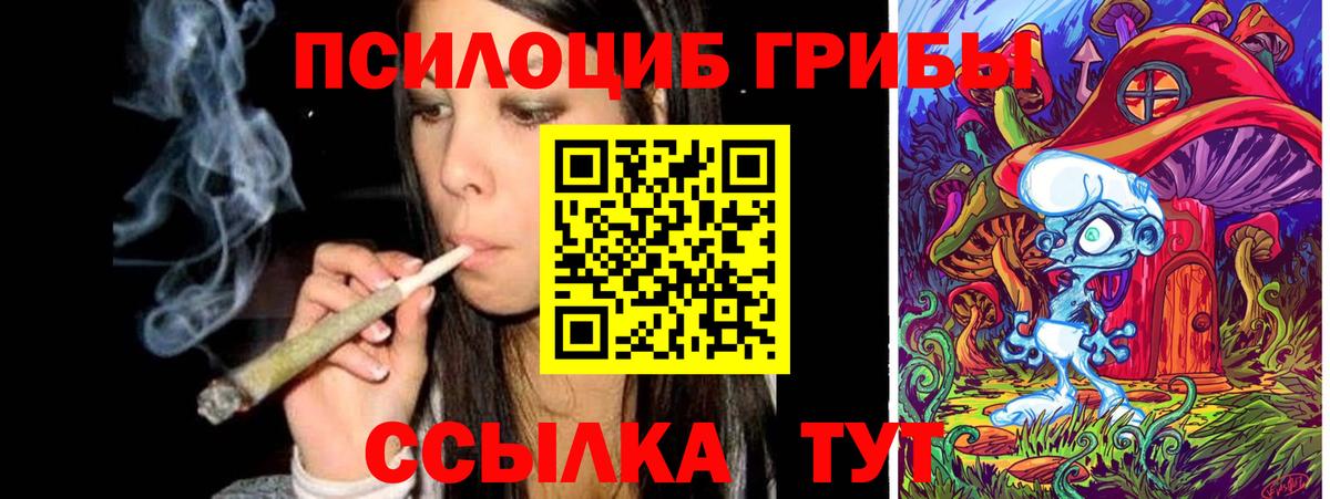 Галлюциногенные грибы Psilocybe  Вход с VPN  Кузнецк 