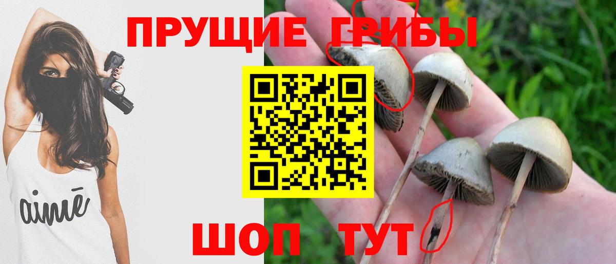 Псилоцибиновые грибы ЛСД Кузнецк